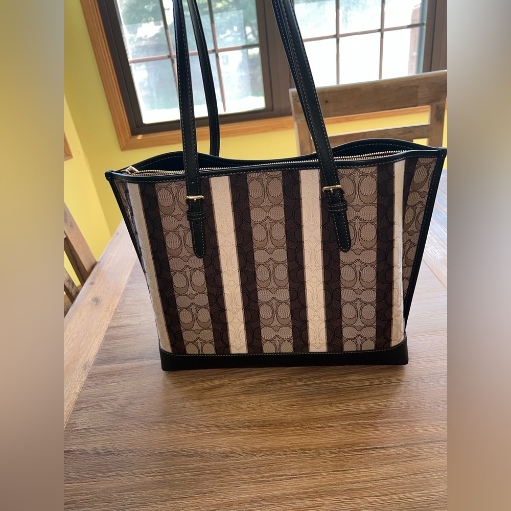 COACH Signature Canvas Jacquard Striped Mollie Tote Bag in Khaki/Black Multi